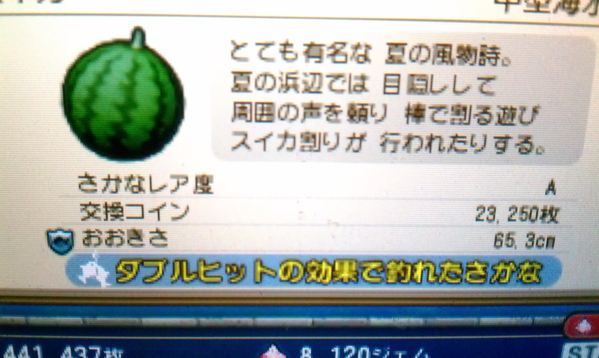 ドラクエ10 スイカうまい ゴールドマウンテン ぼっち堂